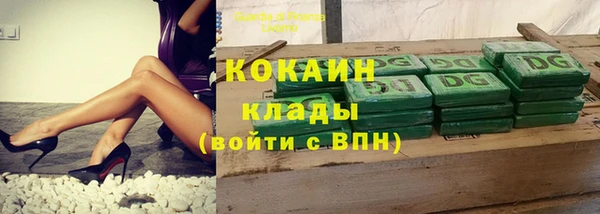 гашик Тында